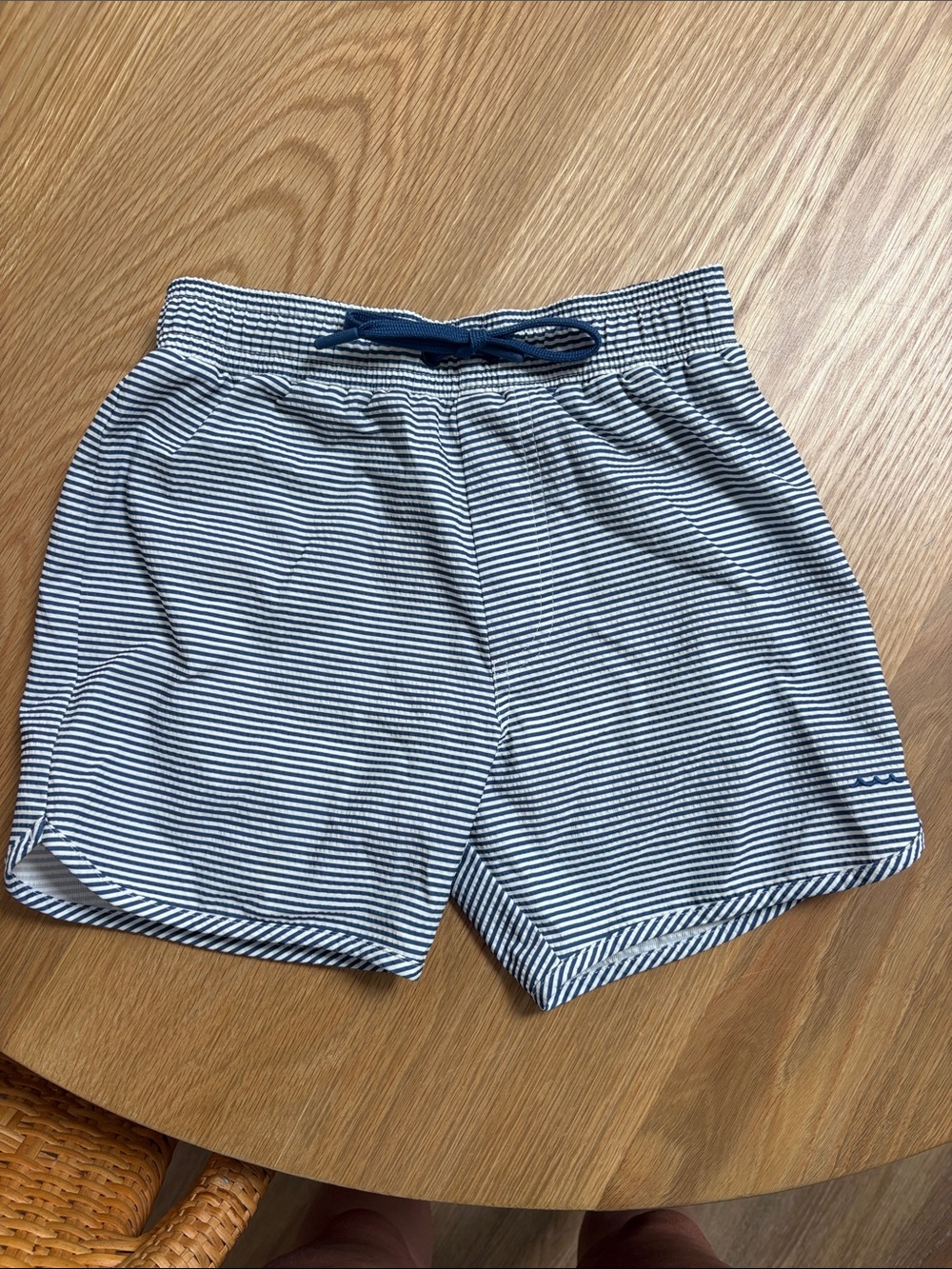 Minnow boys trunks navy stripe